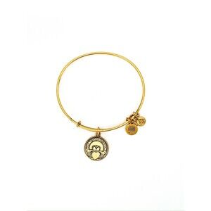 Alex and Ani Claddagh Bronze Expandable Charm